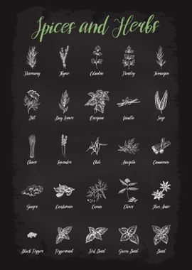 Spices and Herbs Guide