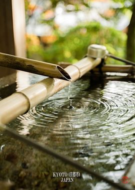 Bamboo Fountain