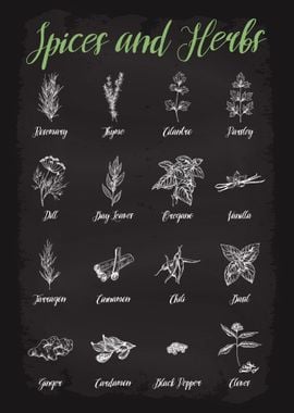 Spices and Herbs Guide