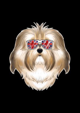 Havanese UK Sunglasses