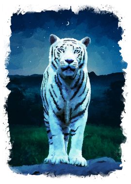 White tiger in the Night