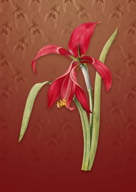 Amaryllis on Falu Red