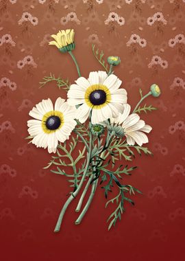 Vintage Chrysanthemum