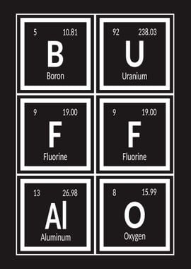 Elements of Buffalo City