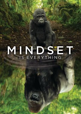 Gorilla MIndset