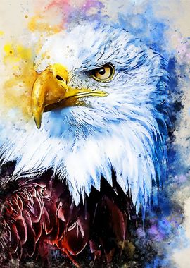 Eagle Watercolor