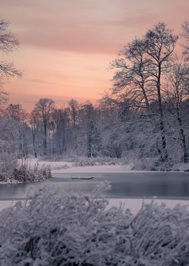 Winter journey to the park