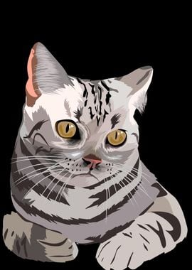 pet cat in vector style