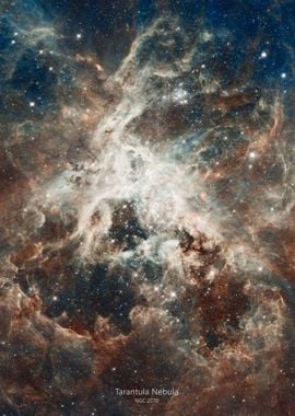 Tarantula Nebula