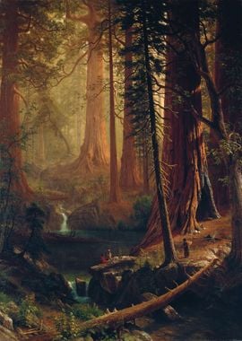 Giant Redwood Trees 1874