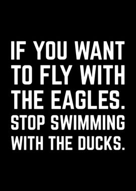 Fly With The Eagles