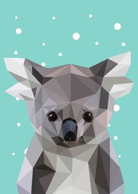 animal portrait koala