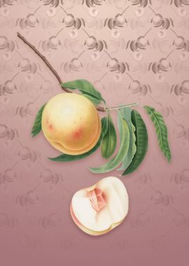 Vintage Duracina Peach