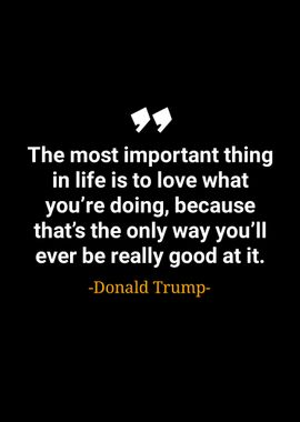 Donald trump quotes 