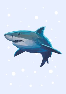 animal portrait shark