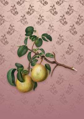 Vintage Pear on Dusty Pink