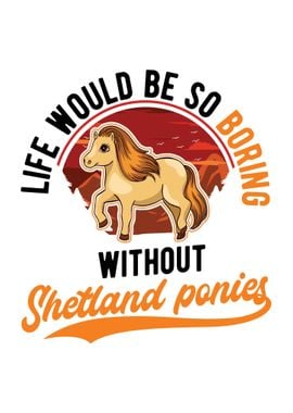 Shetland Pony Shetty