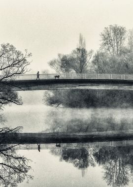 Walk with dog in fog