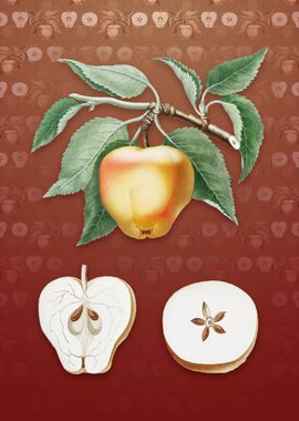 Vintage Carla Apple on Red