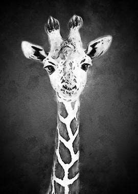 Black White Giraffe