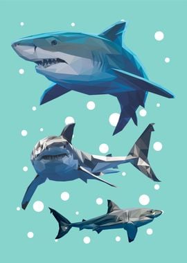 Nursery animals shark