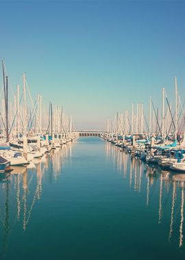 Yacht Harbor