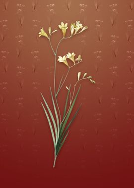 Freesia on Falu Red