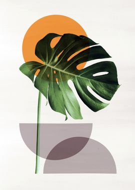 Minimalist floral A37