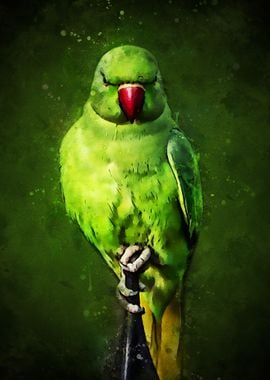 Green Parrot