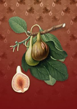 Vintage Fig on Falu Red