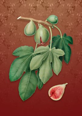 Vintage Fig on Falu Red