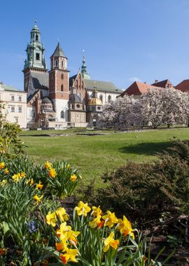 Cracow Krakow Castle Wawel