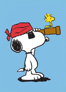 Pirate Snoopy Woodstock