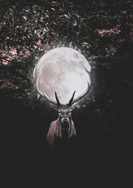 Deer with the moon