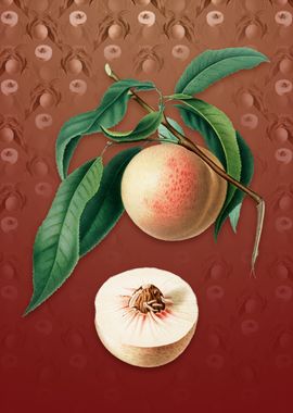 Vintage Peach on Falu Red