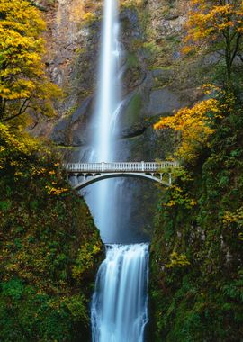 Glorious Waterfall Murals