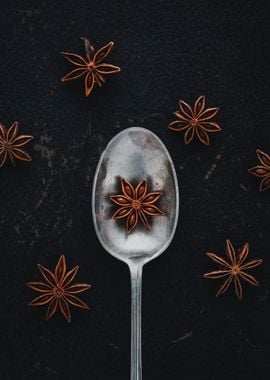 Star Anise Spice