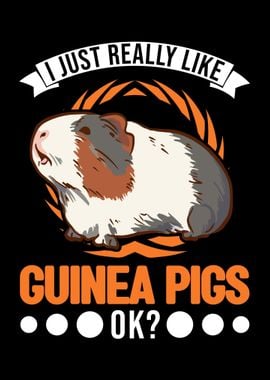 Guinea Pig Gift