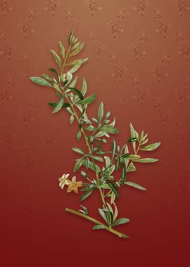 Goji Berry on Falu Red