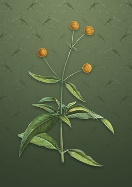 Vintage Orange Ball Tree