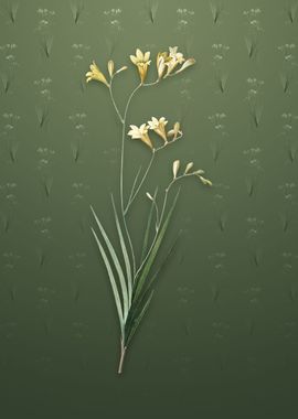 Freesia on Lunar Green