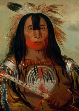 George Catlin Buffalo Bull