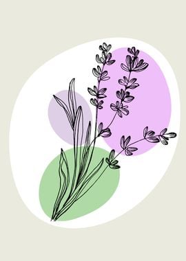 Lavender Simple Minimal Bo