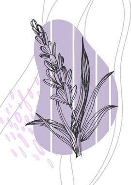 Modern Lavender flower nat