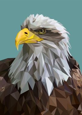 nursery animal eagle