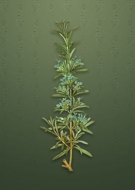 Rosemary on Lunar Green