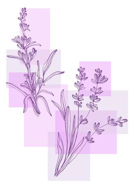 Lavender  Minimal Contemp