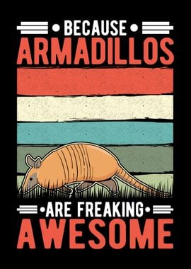 Armadillo Gift