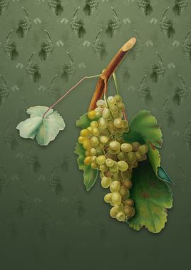 Grape Vine on Lunar Green