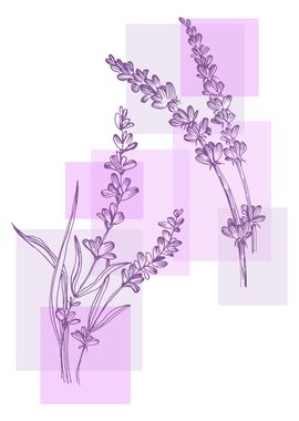 Lavender  Minimalist Gard